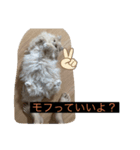 ここ、るる、りく（個別スタンプ：13）