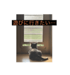 ここ、るる、りく（個別スタンプ：14）