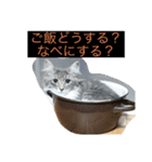 ここ、るる、りく（個別スタンプ：16）