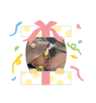 ミックスナッツ兄弟（個別スタンプ：11）