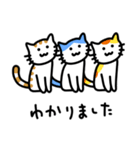 猫’s【挨拶・返事】（個別スタンプ：3）