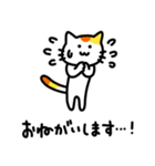 猫’s【挨拶・返事】（個別スタンプ：30）