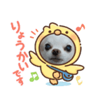 チワワなりに生きてます②（個別スタンプ：2）