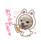 チワワなりに生きてます②（個別スタンプ：16）