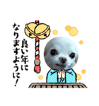 チワワなりに生きてます②（個別スタンプ：20）