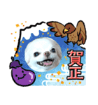 チワワなりに生きてます②（個別スタンプ：23）