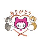 しまねこLINEスタンプ第二弾（個別スタンプ：7）