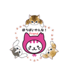 しまねこLINEスタンプ第二弾（個別スタンプ：8）