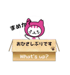 しまねこLINEスタンプ第二弾（個別スタンプ：16）