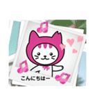 しまねこLINEスタンプ第二弾（個別スタンプ：24）