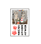 うるたまるたち（個別スタンプ：15）