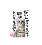 うるたまるたち（個別スタンプ：16）