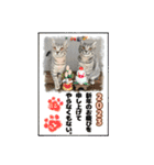うるたまるたち（個別スタンプ：17）