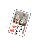 うるたまるたち（個別スタンプ：18）