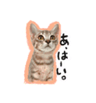 うるたまるたち（個別スタンプ：30）