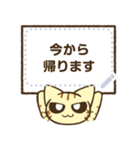 にらみねこしぃちゃんメッセージスタンプ（個別スタンプ：24）