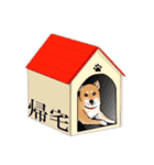 柴犬こむぎスタンプ(日常)（個別スタンプ：29）