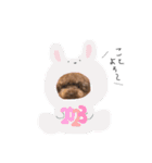 まつおぷくのスタンプ（個別スタンプ：8）