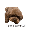 まつおぷくのスタンプ（個別スタンプ：16）