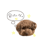 まつおぷくのスタンプ（個別スタンプ：31）