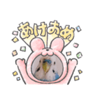 Pi-chan happy stamp（個別スタンプ：2）