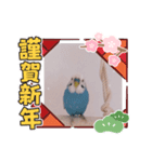Pi-chan happy stamp（個別スタンプ：3）