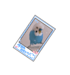 Pi-chan happy stamp（個別スタンプ：7）