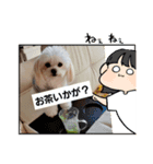 LUNA＆SEAのつぶやきとぼやき～ワンワン（個別スタンプ：1）