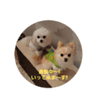 LUNA＆SEAのつぶやきとぼやき～ワンワン（個別スタンプ：4）