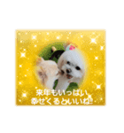 LUNA＆SEAのつぶやきとぼやき～ワンワン（個別スタンプ：5）