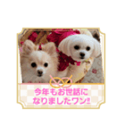 LUNA＆SEAのつぶやきとぼやき～ワンワン（個別スタンプ：6）