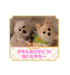 LUNA＆SEAのつぶやきとぼやき～ワンワン（個別スタンプ：8）