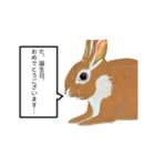 臆病なウサギ（個別スタンプ：13）