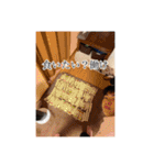 キュテスタ2（個別スタンプ：3）
