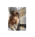 キュテスタ2（個別スタンプ：19）