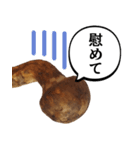 立派な松茸スタンプ【面白い・キノコ】（個別スタンプ：1）