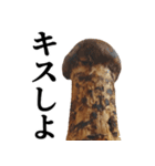 立派な松茸スタンプ【面白い・キノコ】（個別スタンプ：3）