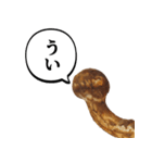 立派な松茸スタンプ【面白い・キノコ】（個別スタンプ：12）