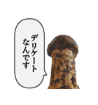 立派な松茸スタンプ【面白い・キノコ】（個別スタンプ：14）