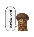 立派な松茸スタンプ【面白い・キノコ】（個別スタンプ：15）