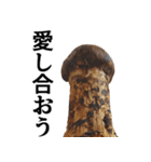 立派な松茸スタンプ【面白い・キノコ】（個別スタンプ：16）