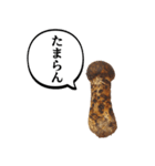 立派な松茸スタンプ【面白い・キノコ】（個別スタンプ：19）