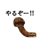 立派な松茸スタンプ【面白い・キノコ】（個別スタンプ：21）