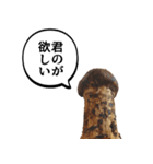 立派な松茸スタンプ【面白い・キノコ】（個別スタンプ：25）