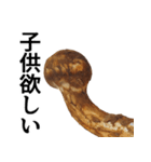 立派な松茸スタンプ【面白い・キノコ】（個別スタンプ：29）
