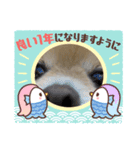 ポメポメアイスのお正月スタンプ（個別スタンプ：7）
