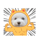 かねねんのうめ吉くん⑤（個別スタンプ：3）