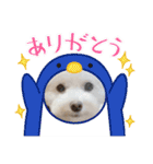 かねねんのうめ吉くん⑤（個別スタンプ：5）