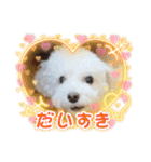 かねねんのうめ吉くん⑤（個別スタンプ：8）
