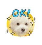 かねねんのうめ吉くん⑤（個別スタンプ：10）